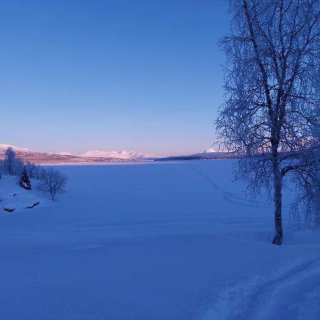 Villmarksgard Tommerstue Hattfjelldal Esterno foto