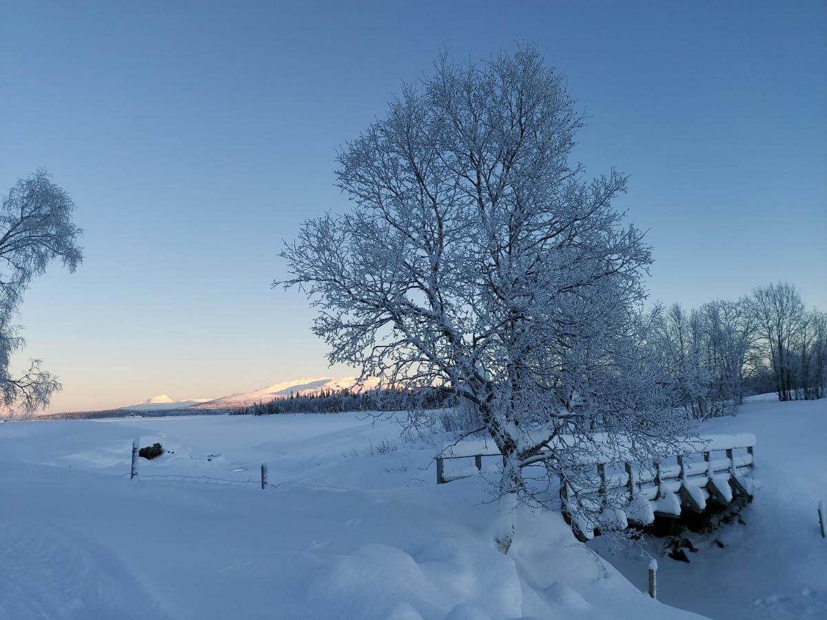 Villmarksgard Tommerstue Hattfjelldal Esterno foto