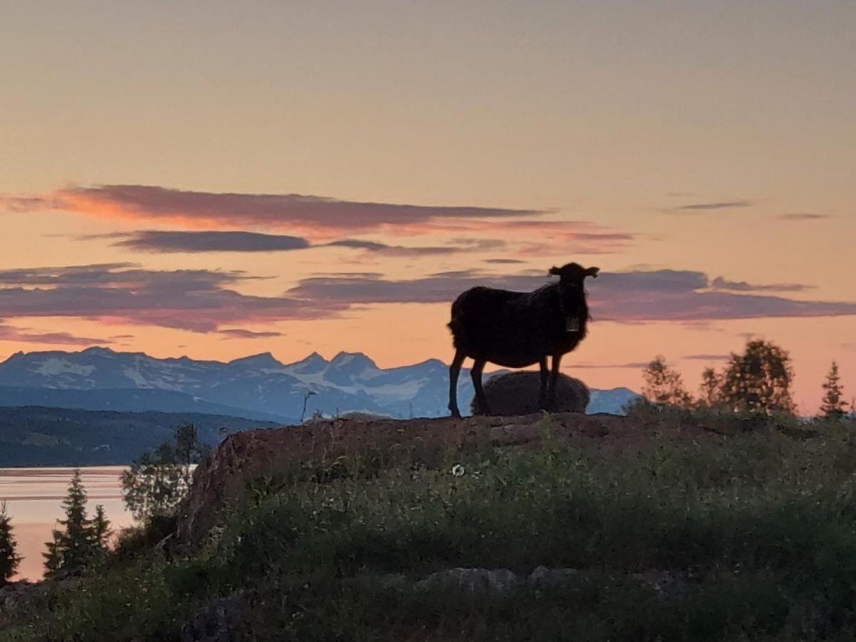 Villmarksgard Tommerstue Hattfjelldal Esterno foto