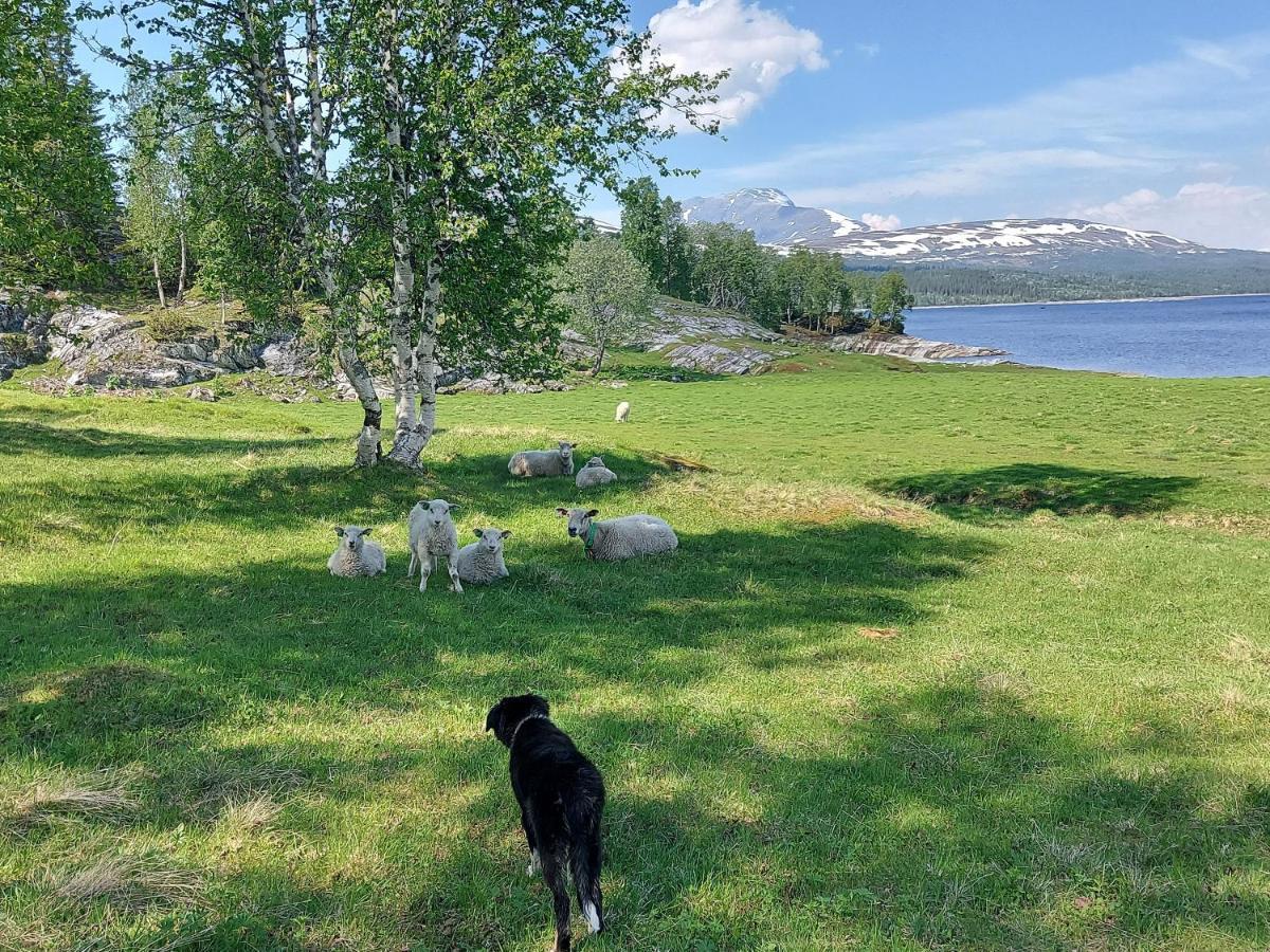 Villmarksgard Tommerstue Hattfjelldal Esterno foto